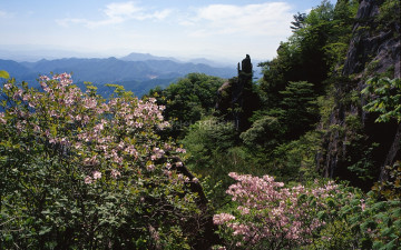 지난봄에 대둔산에서...
