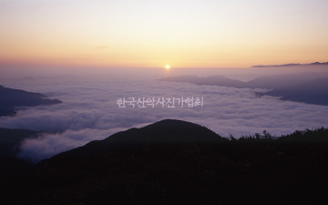 오래간만에 나들이를...