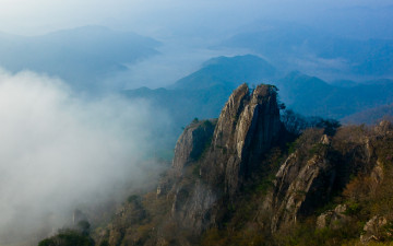 장군의 봄 맞이