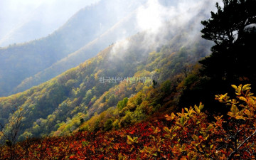 설악 화채봉 능선의 추색