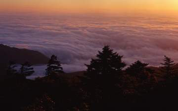 엘도라도를 찾아서