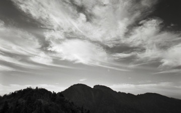 하늘을 바라보며.