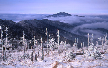 겨울이 다시 오면....