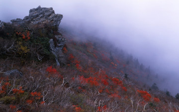 가을을 기다리며
