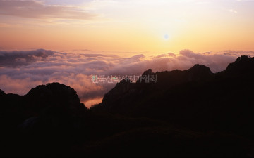 단풍은 낙엽이 되고...