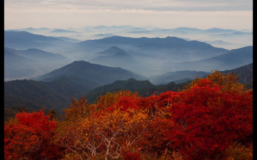 지리의 가을.(디카)