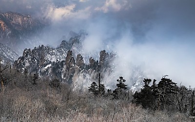 겨울 용아