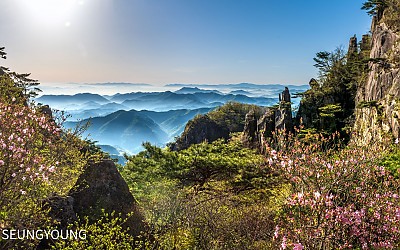 대둔산에서