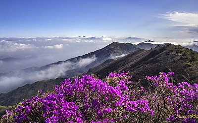 지리산