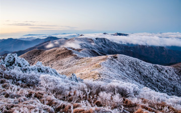 남덕유로가는 상고대 길