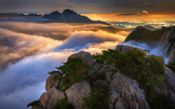 여름 새벽의 꿈