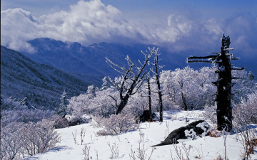 제석봉 추억 - 지리산
