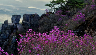 금정산. - 금정산