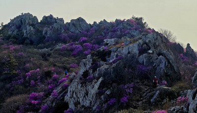 주작산. - 덕룡산(주작산)