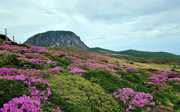 한라산.