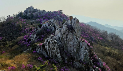 주작산. - 덕룡산(주작산)