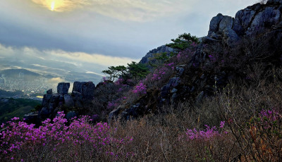금정산. - 금정산