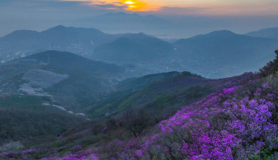 영취산 (드론 사진)