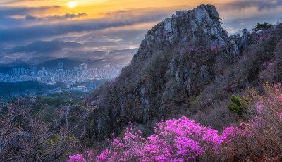 금정산 봄풍경 - 금정산