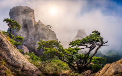 신선대에서 놀음