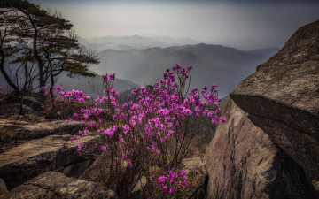 생애대 풍경 - 대둔산