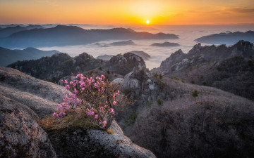 속리산 문장대 일출 - 속리산