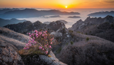 속리산 문장대 일출 - 속리산