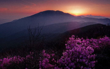 노고단의 어느봄날 아침 빛 - 지리산
