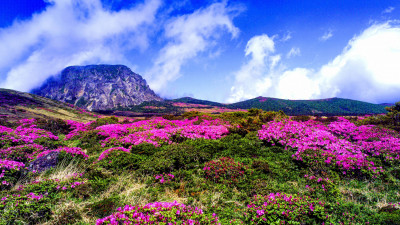 한라산