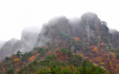 단양호의  비경ᆢ