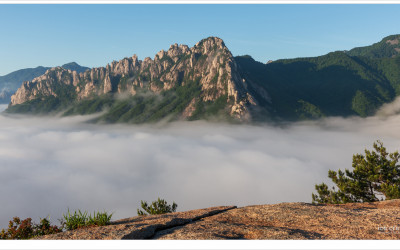 흐르는 강이라고