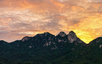 어제의 아름다움