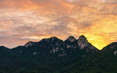 어제의 아름다움