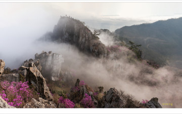 2025년 주작산은