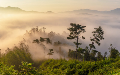 눈이 즐거운  시간