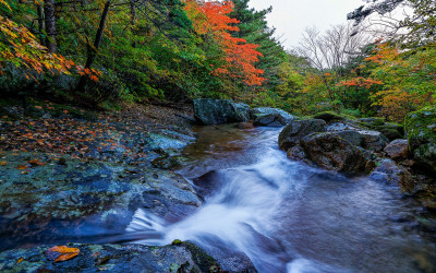 세석교의 단풍계곡.