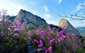 북한산 소식 - 북한산