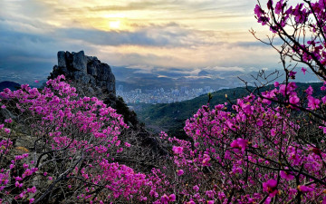 금정산 - 금정산