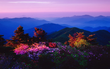 추억의 반야봉!