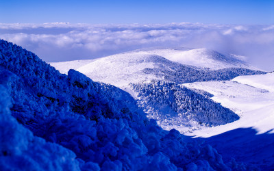 한라산 (김봉선선생님 작)