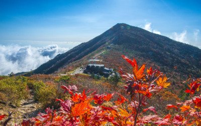 미리가 본 설악산