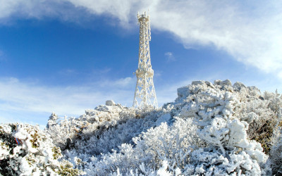 20여년 전에는 ..
