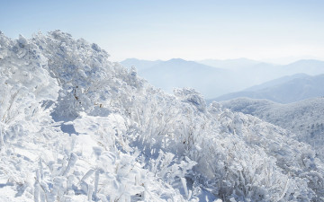 좋은 아침 - 덕유산
