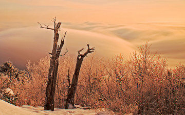 좋은 아침 - 덕유산