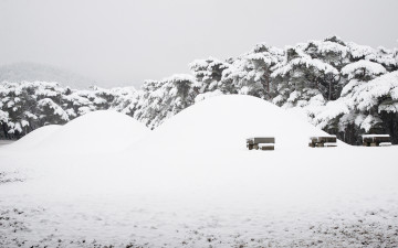 좋은 아침 - 남산