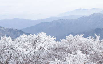 좋은 아침 - 덕유산