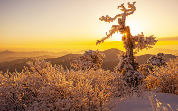좋은 아침 - 태백산