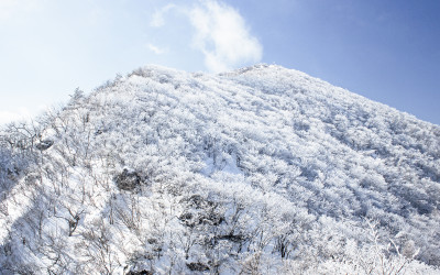 좋은 아침