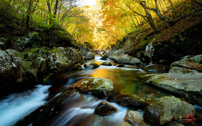 지리산계곡