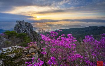 금정산 봄 나들이 - 금정산